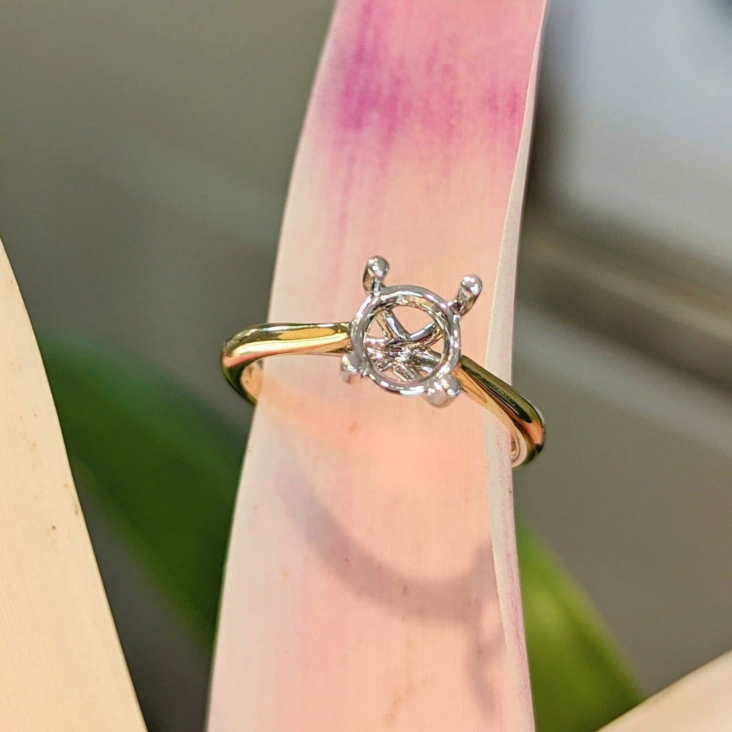 Photo of "Mackenzie" Solitaire Mounting in a decorative scene, designed by , available at Plumb Gold & Plumb Silver