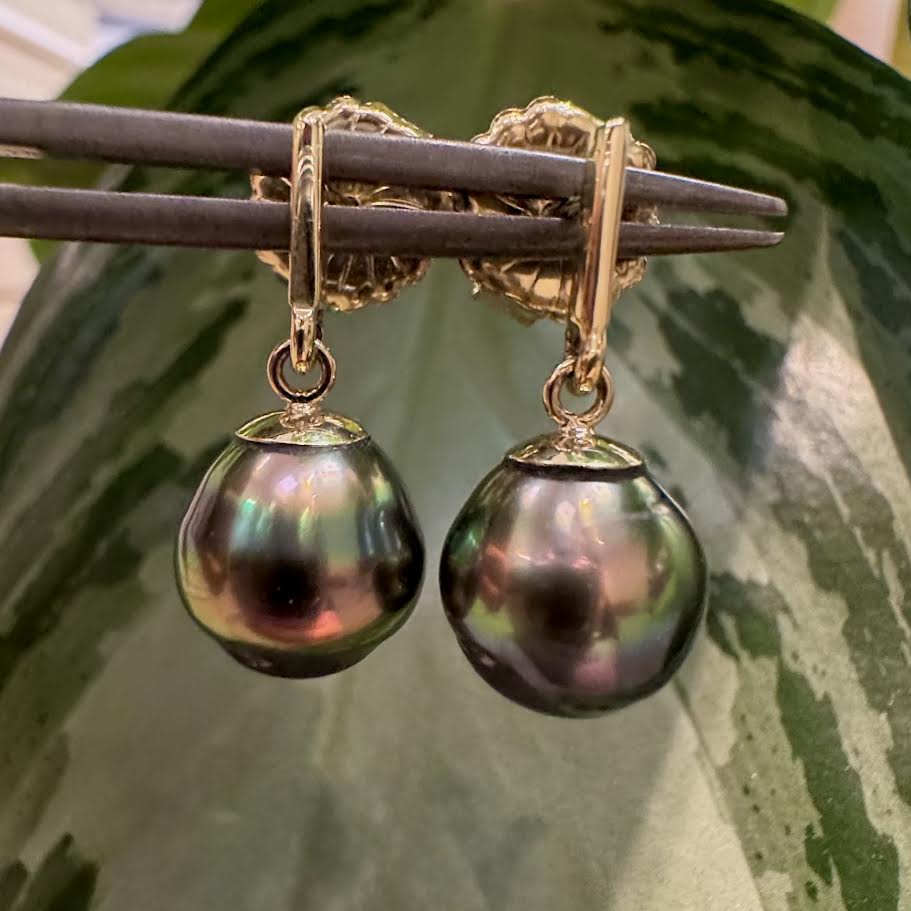 Tahitian Pearl Drop Earrings