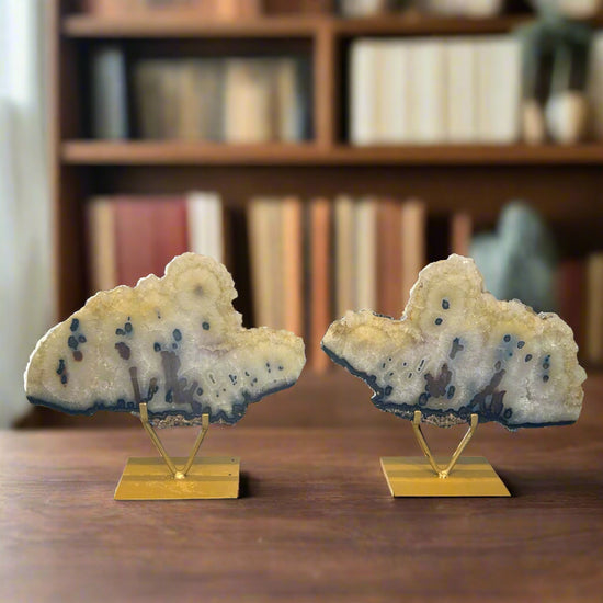 Lace White and Brown Agate Slice Pair