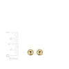 Semi-Solid Ball Studs