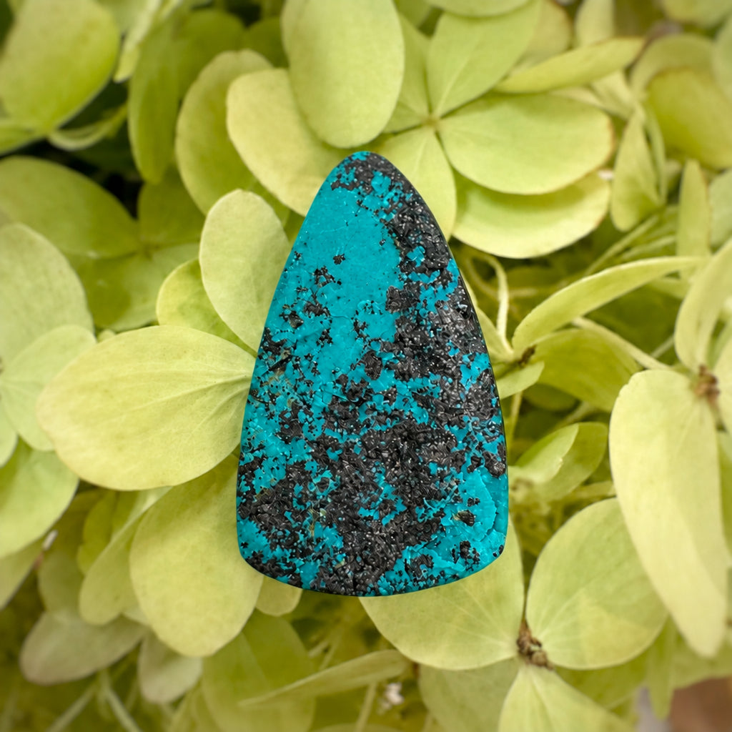 Shattuckite Cabochon
