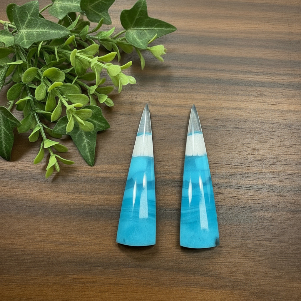 Spear Shape Pair Opalized Petrified Wood