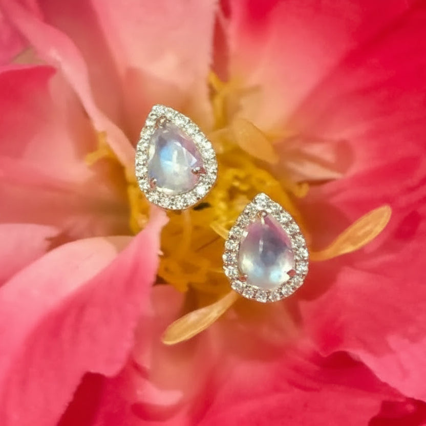 Pear Moonstone Halo Earrings