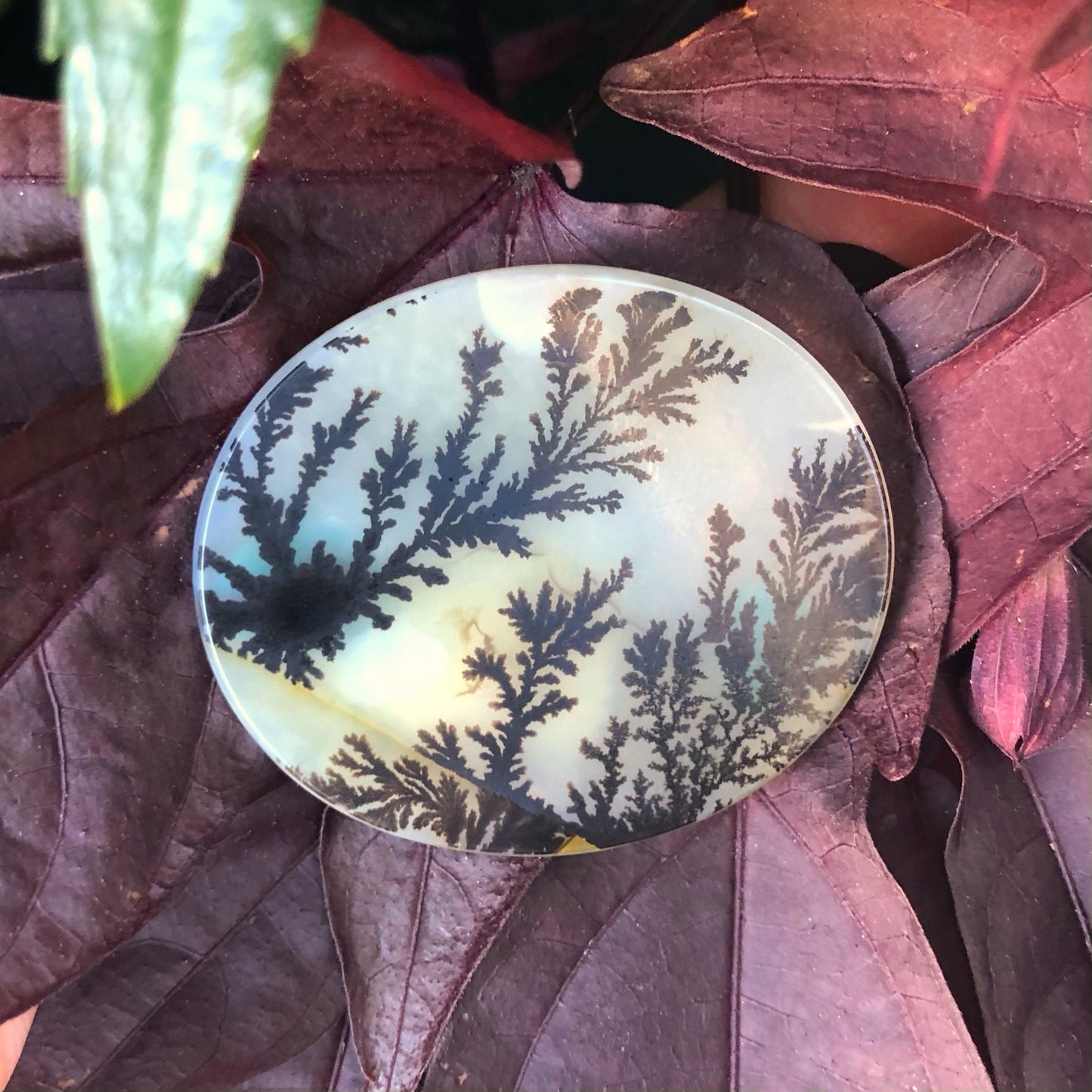 Dendritic Agate
