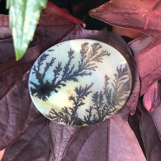 Dendritic Agate