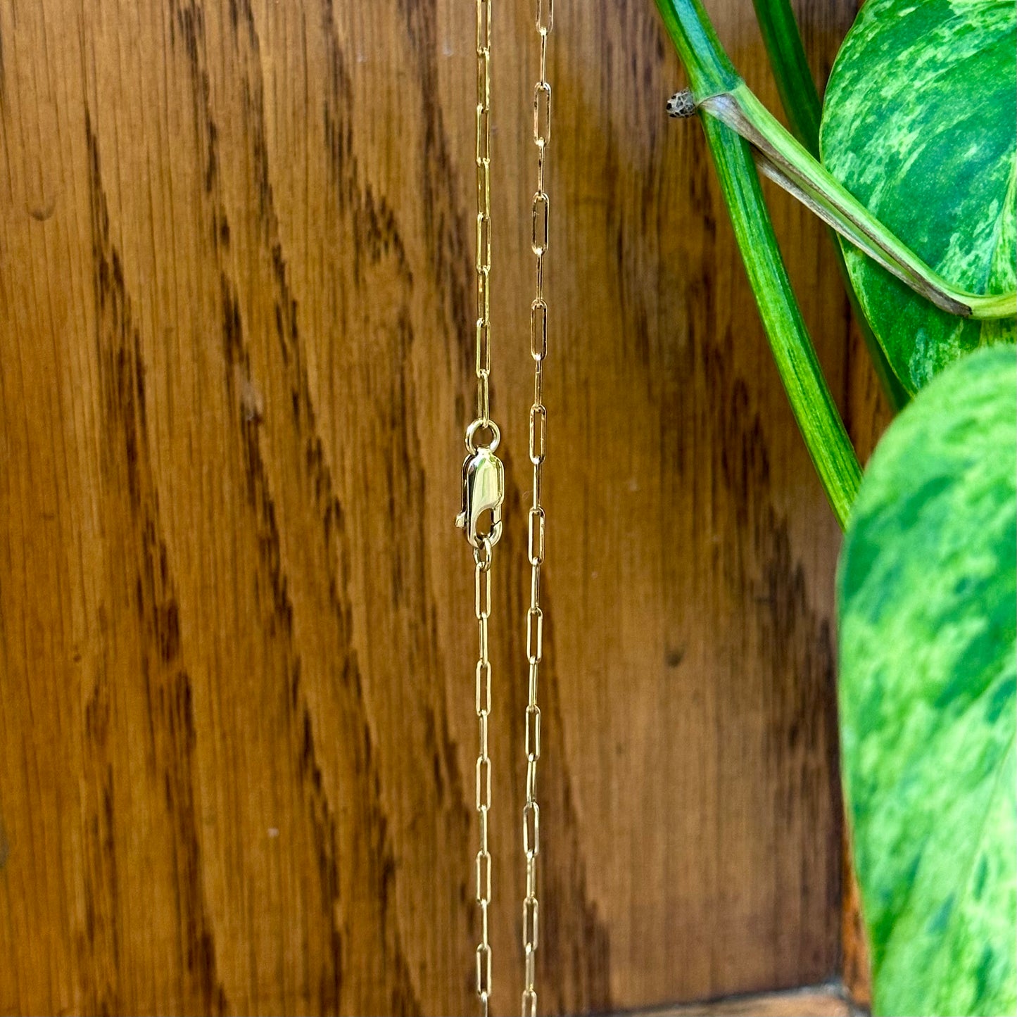 Elongated Paperclip Chain