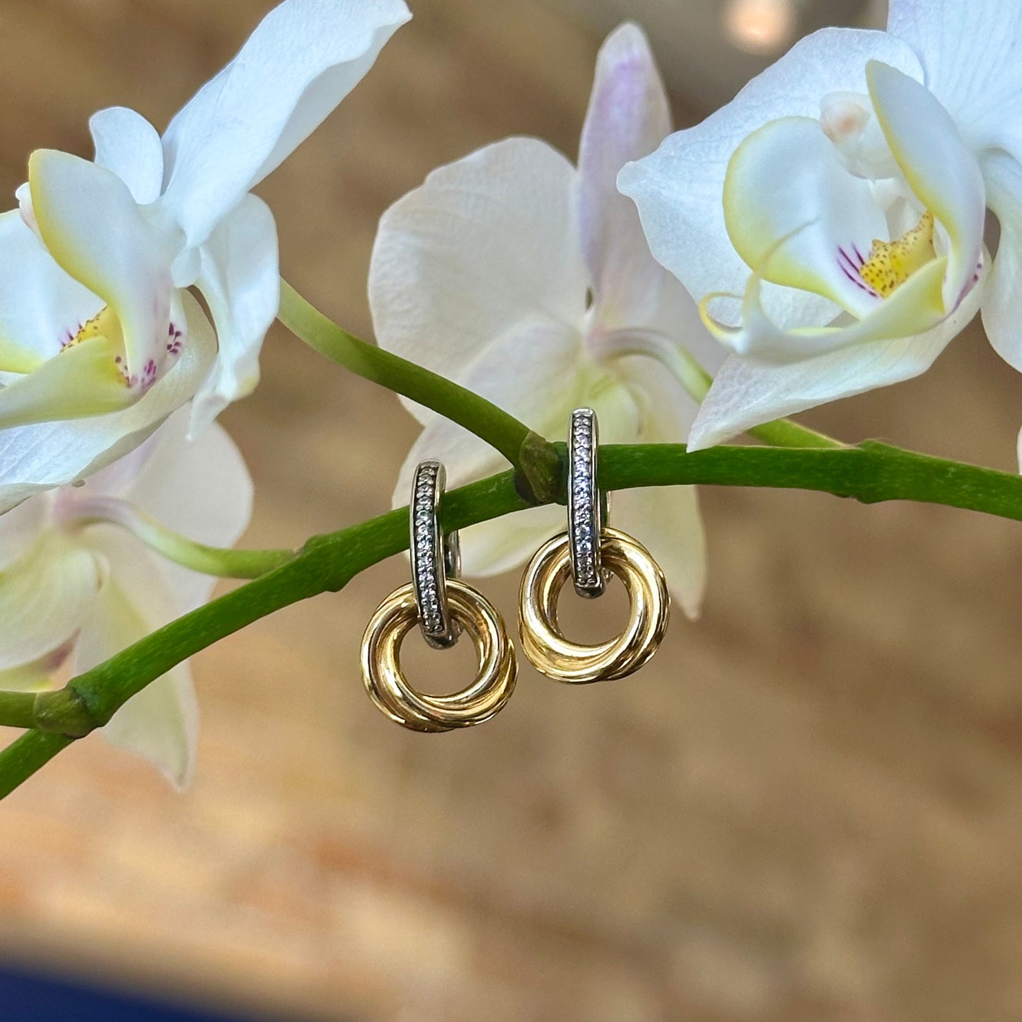 Cz and Twist Double Hoop