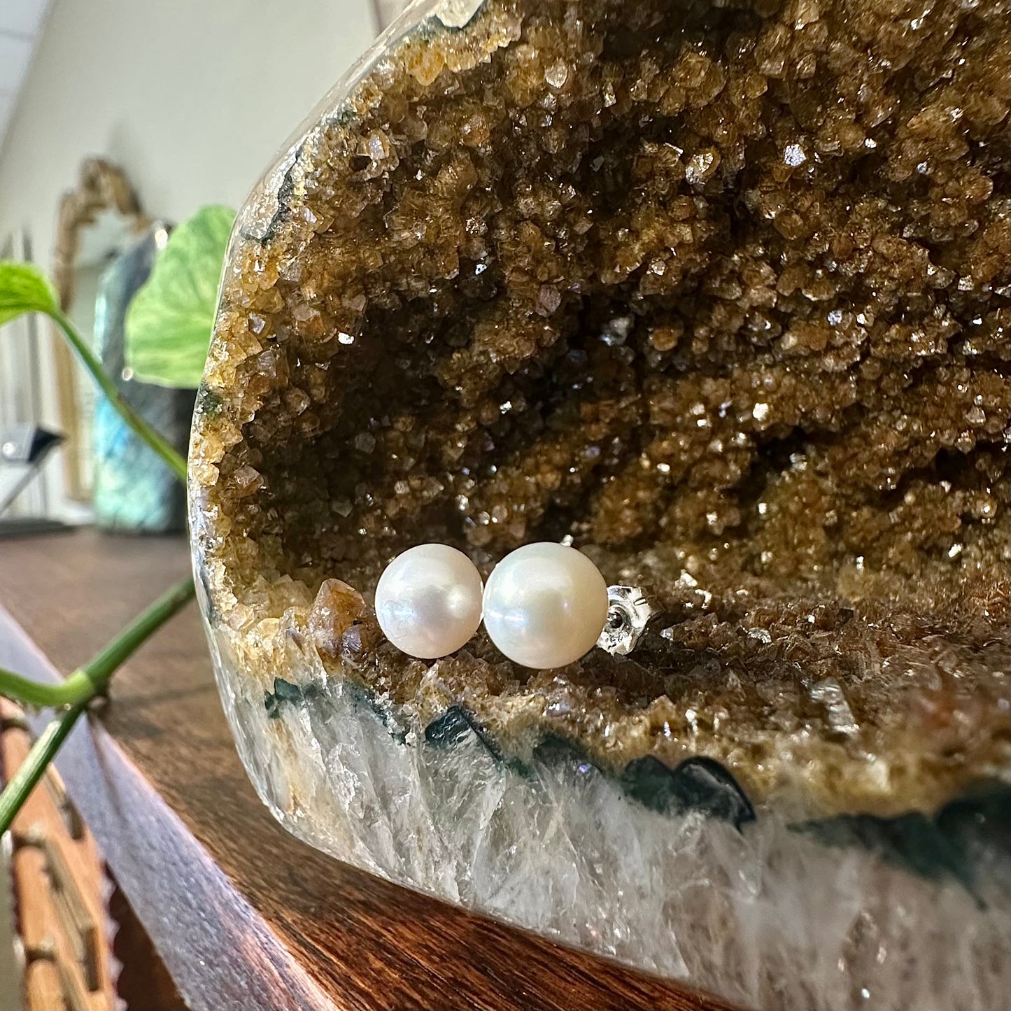 Freshwater Ivory Pearl Studs