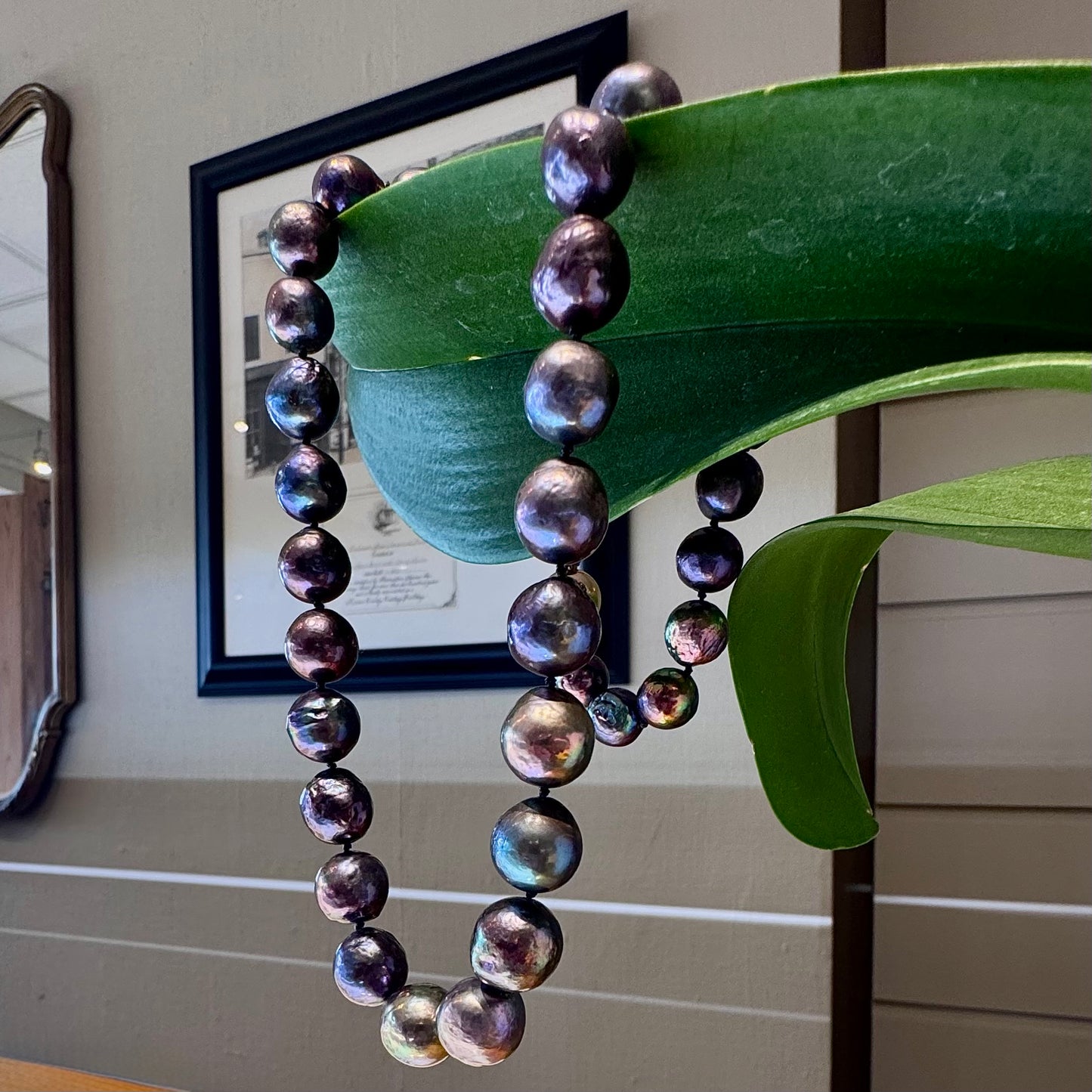 Freshwater Peacock Pearl Strand