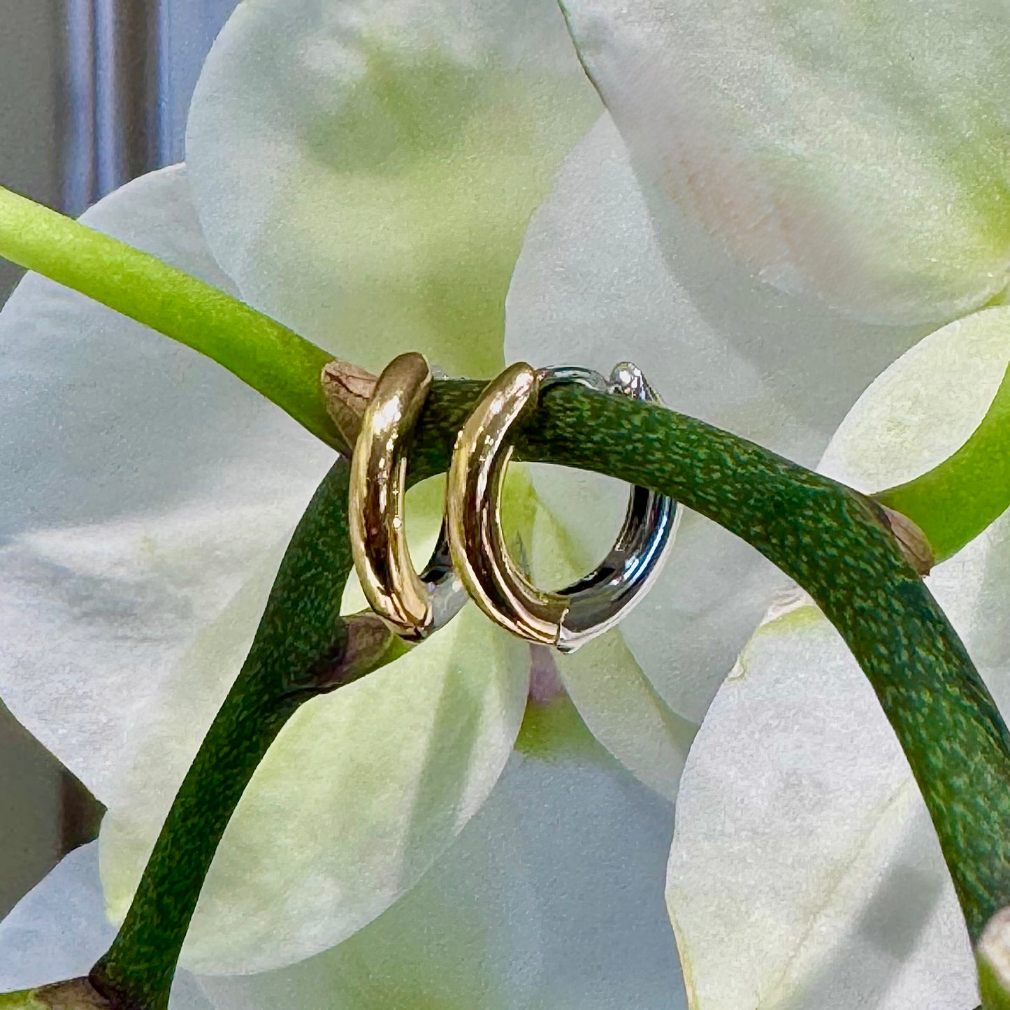 Two-Toned Gold Medium Hoop