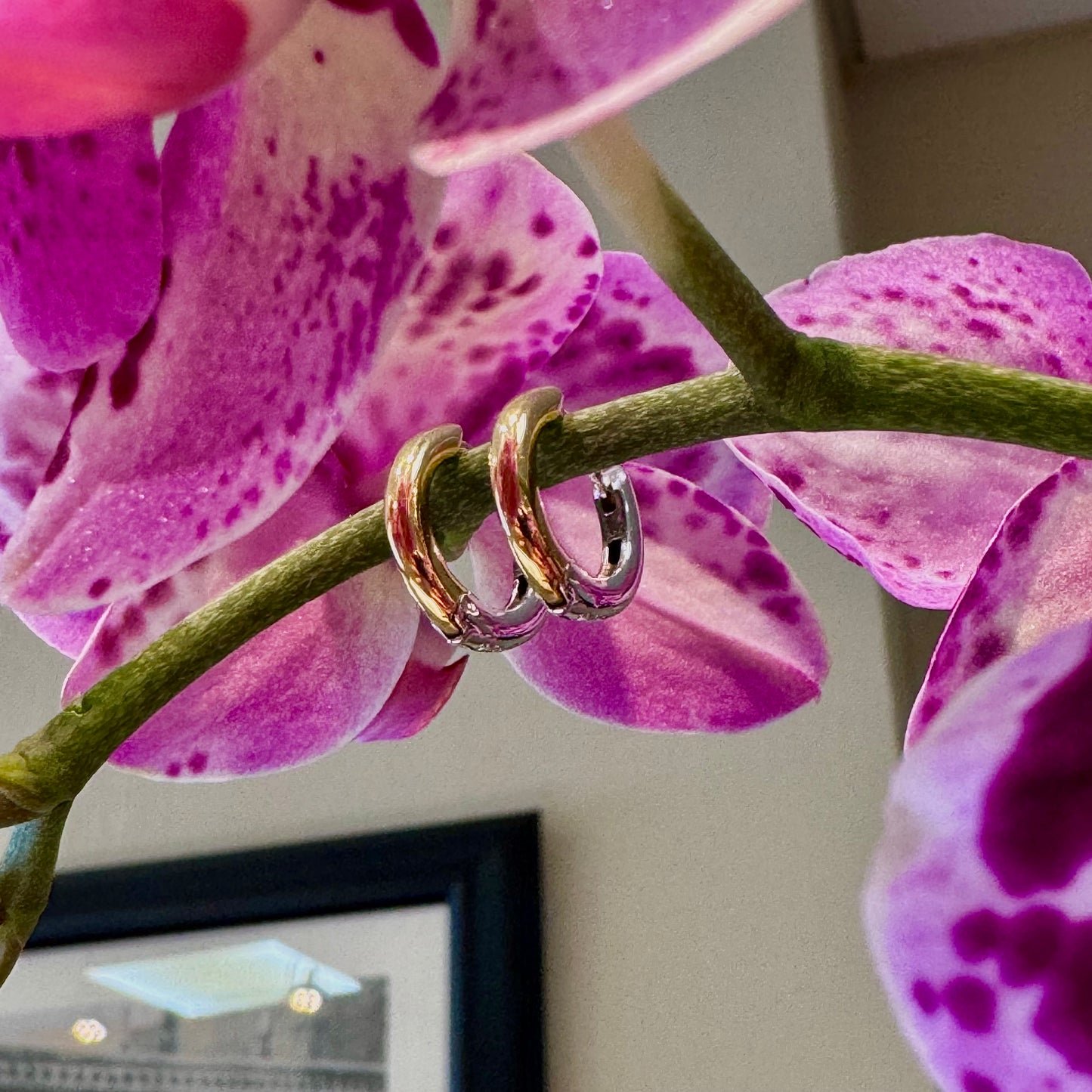 Two-Toned Gold Medium Hoop