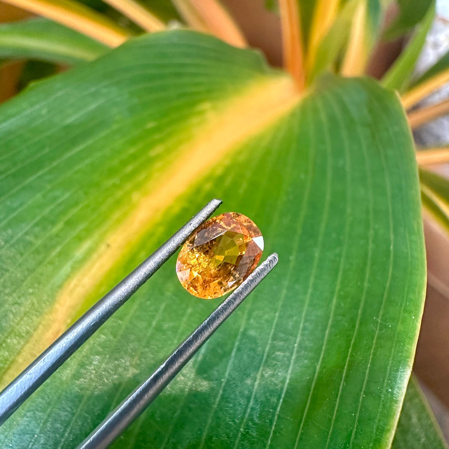 Spessartite Garnet, 1.30ct