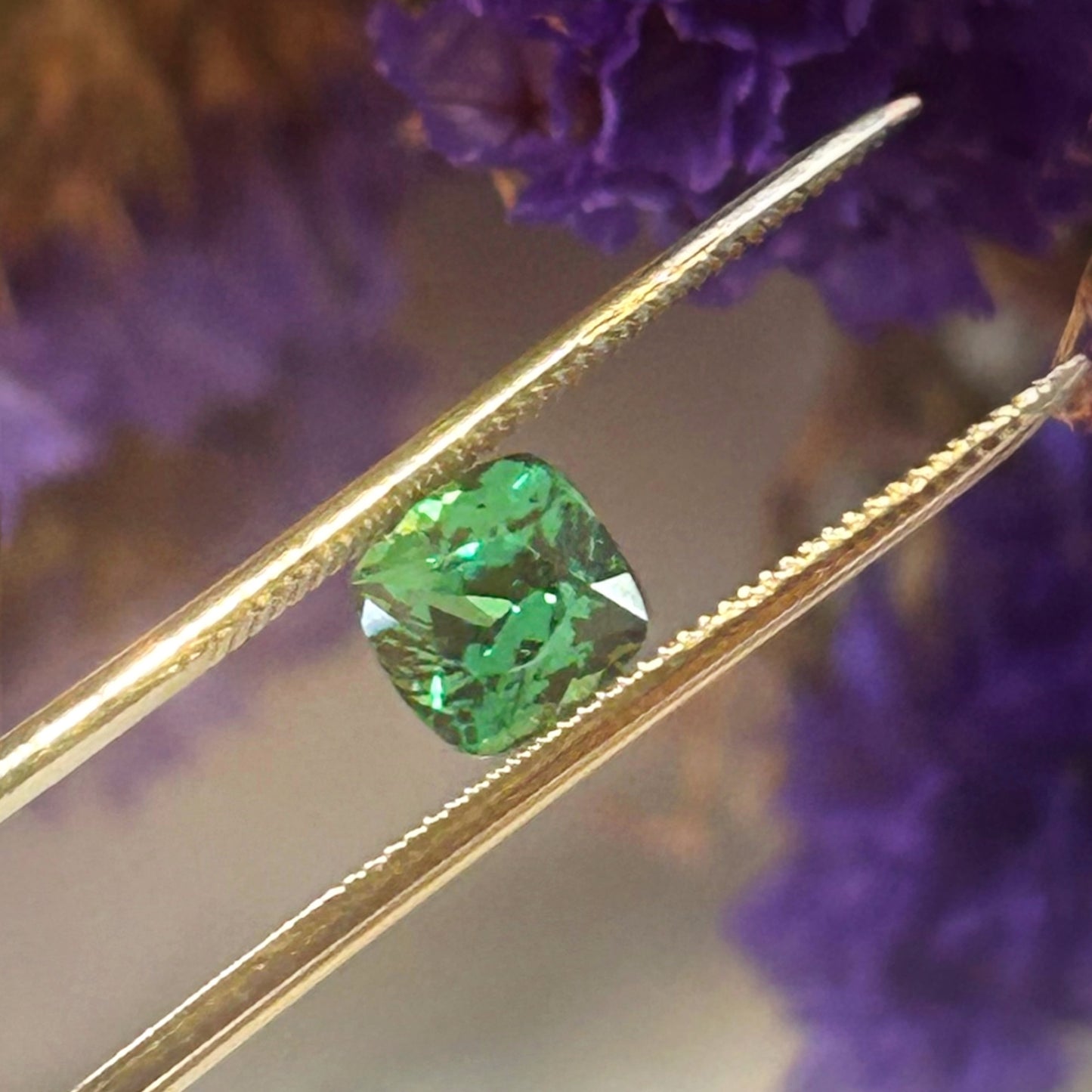 Tsavorite Garnet, 1.54cts