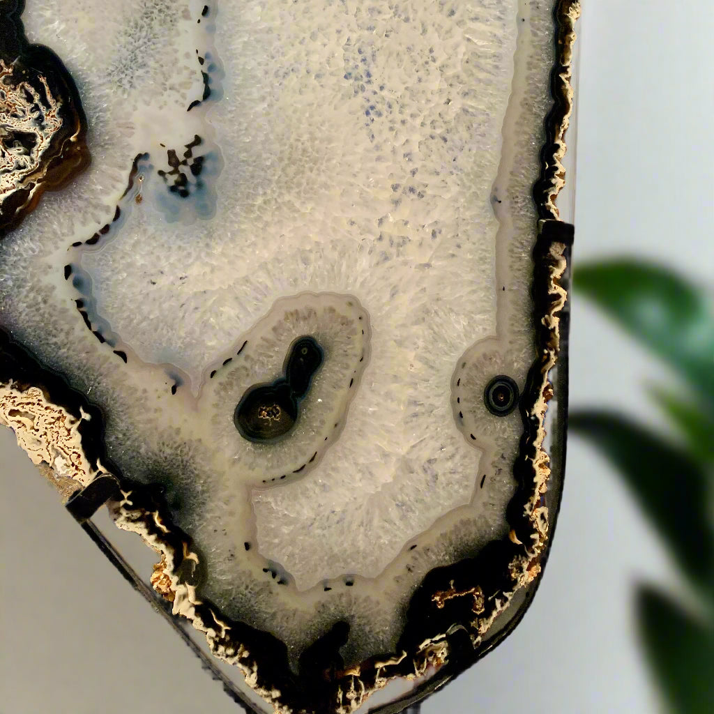 Angel Wing Agate  & Quartz Pair