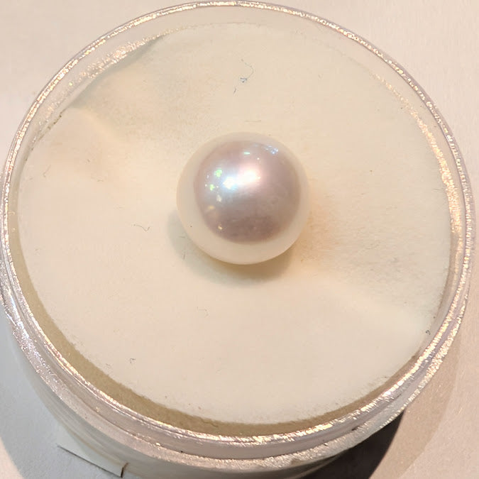 Freshwater Pearl
