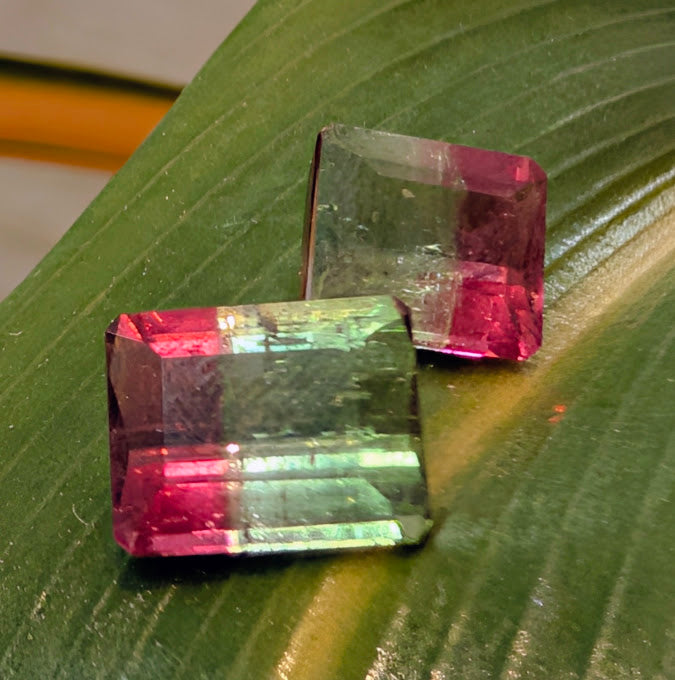 Bi-Color Tourmaline