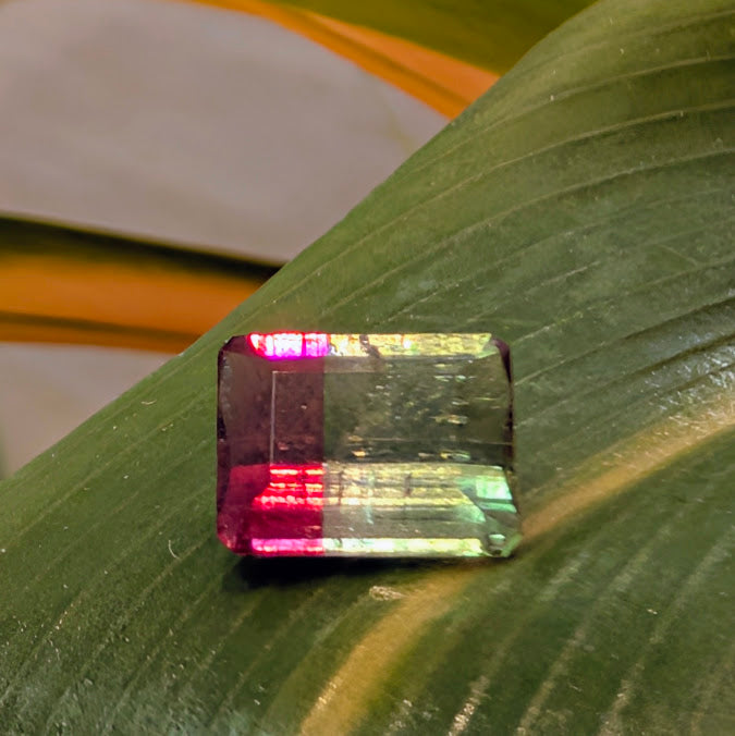 Bi-Color Tourmaline