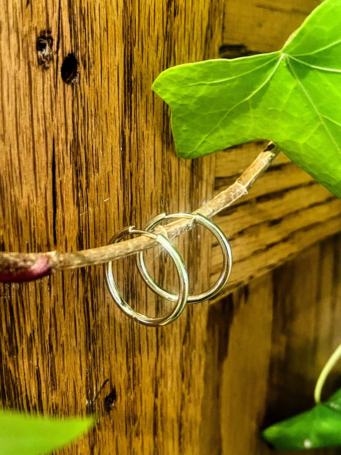 Photo of 14K Yellow Gold Medium Hoops in a decorative scene, designed by , available at Plumb Gold & Plumb Silver