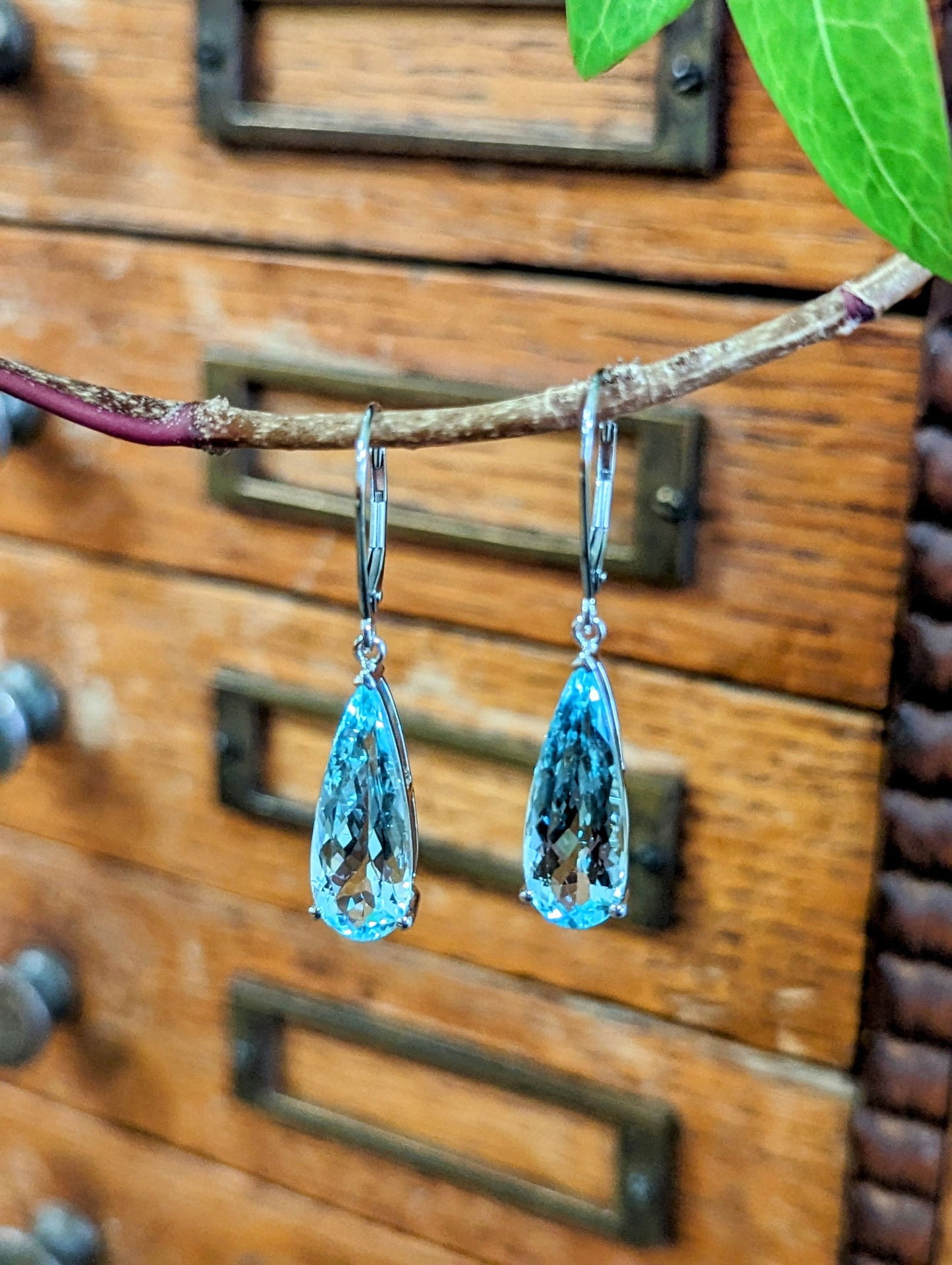Photo of 9.49ct Aquamarine Dangle Earrings in a decorative scene, designed by , available at Plumb Gold & Plumb Silver