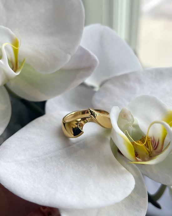 Photo of Bypass Ring in a decorative scene, designed by , available at Plumb Gold & Plumb Silver
