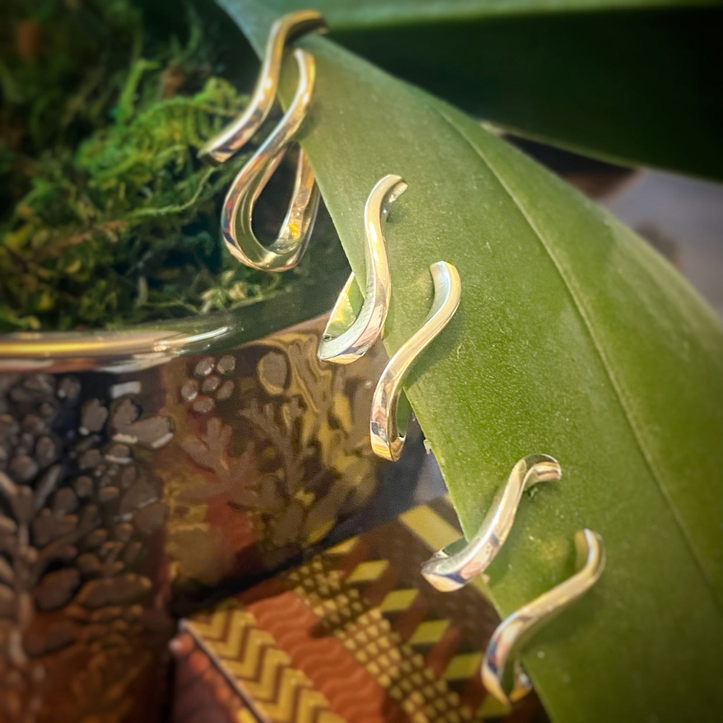 Photo of Curved Huggie Hoop Earrings in a decorative scene, designed by , available at Plumb Gold & Plumb Silver