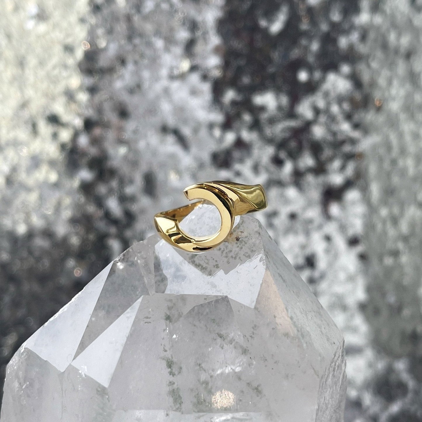 Photo of Curved Ring Mounting in a decorative scene, designed by , available at Plumb Gold & Plumb Silver