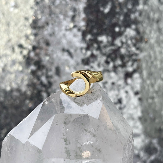 Photo of Curved Ring Mounting in a decorative scene, designed by , available at Plumb Gold & Plumb Silver