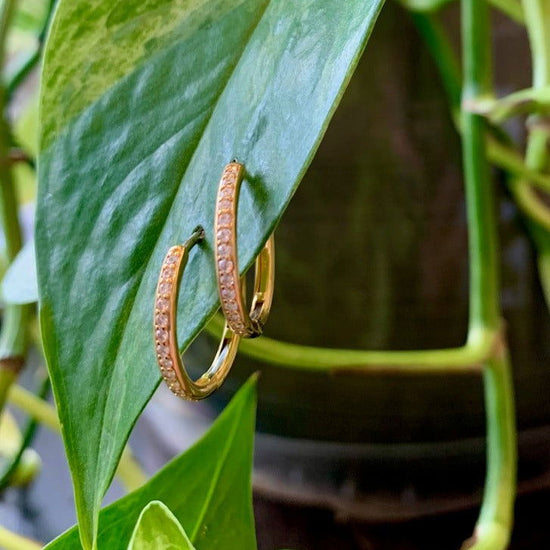 Photo of Cz Huggie Hoops in a decorative scene, designed by , available at Plumb Gold & Plumb Silver