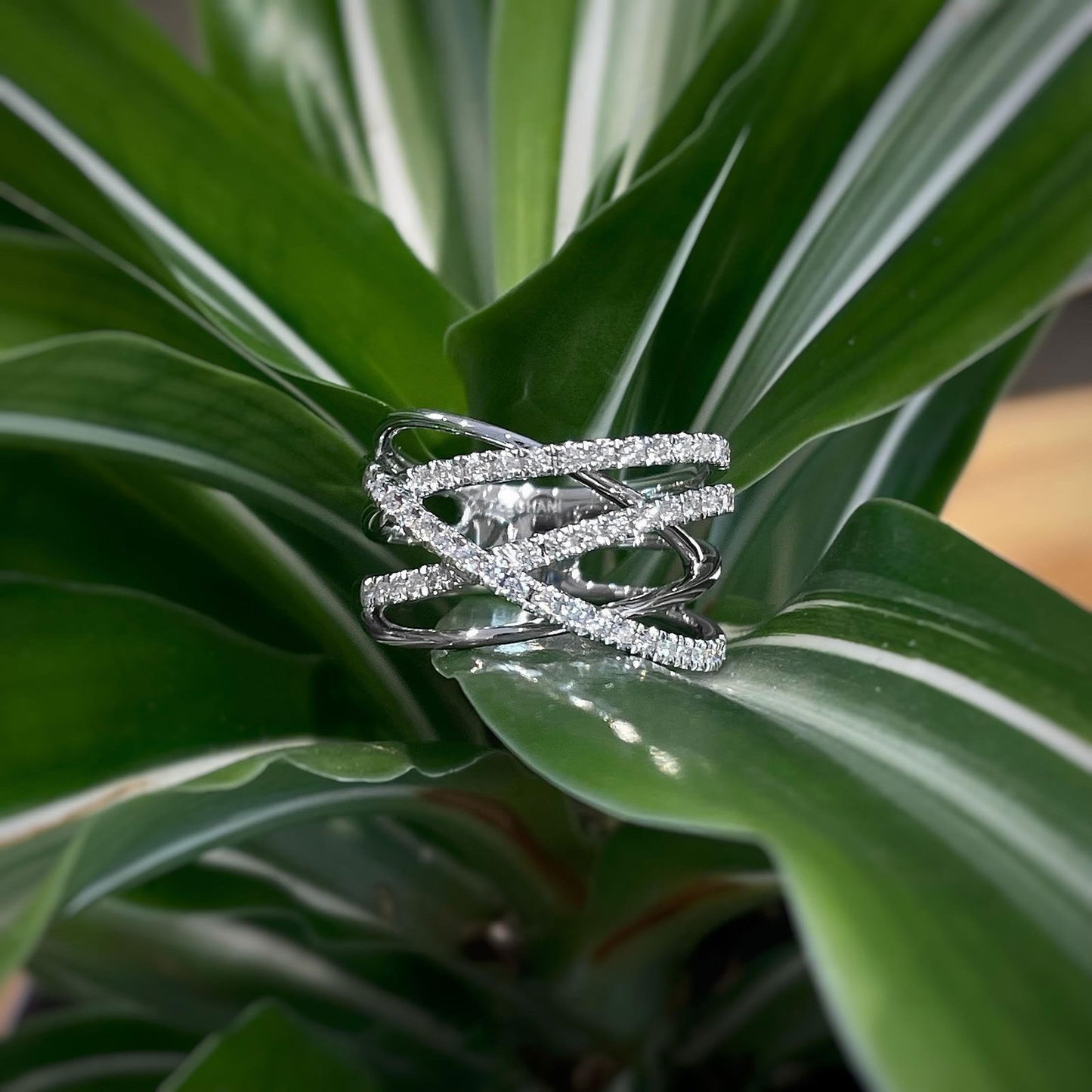 Photo of Diamond crossover Ring in a decorative scene, designed by , available at Plumb Gold & Plumb Silver