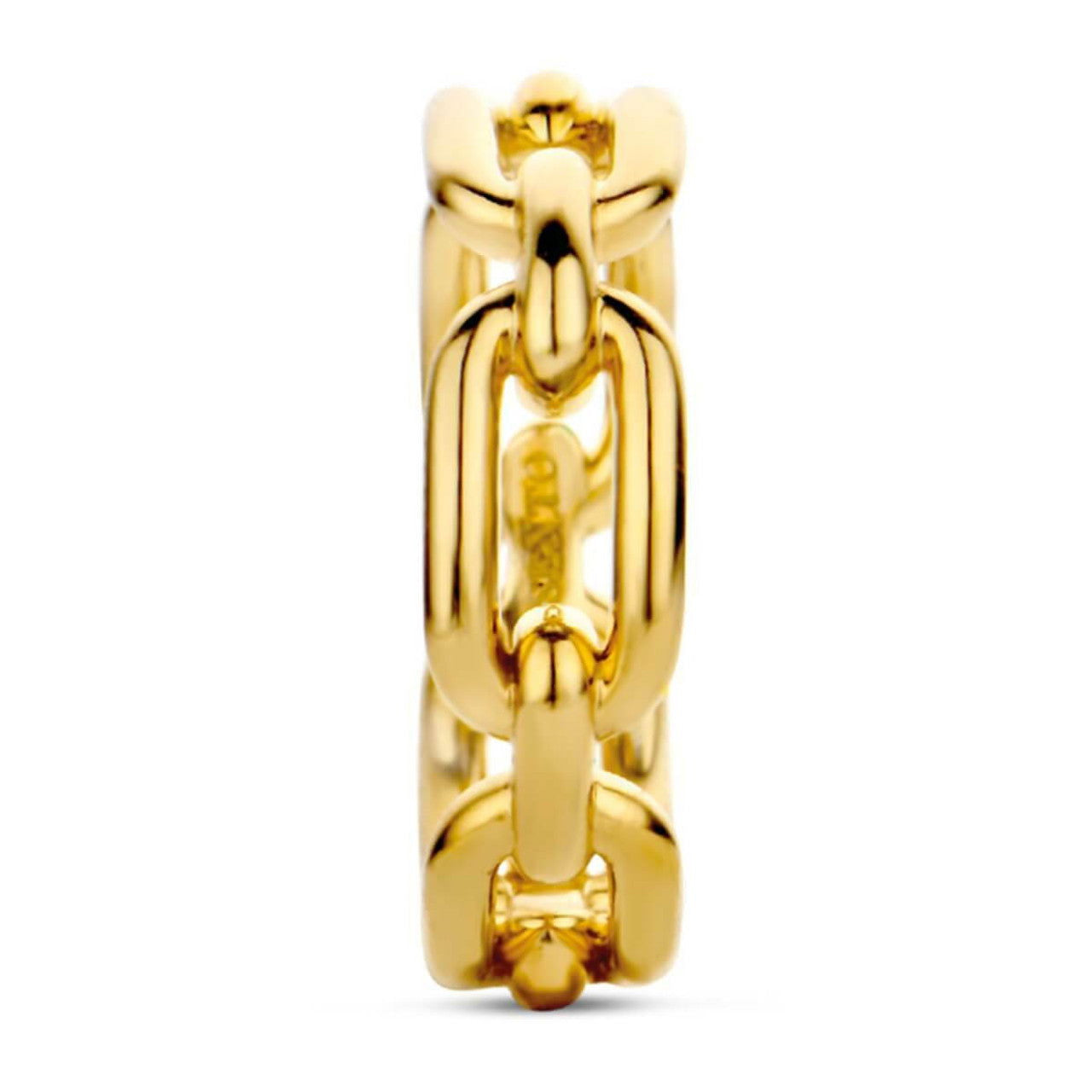 Photo of Fancy Link Ring in a decorative scene, designed by , available at Plumb Gold & Plumb Silver