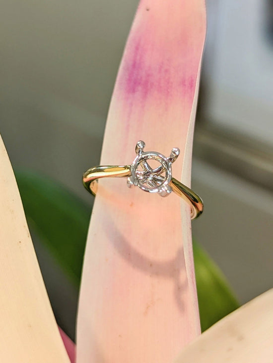 Photo of "Mackenzie" Solitaire Mounting in a decorative scene, designed by , available at Plumb Gold & Plumb Silver