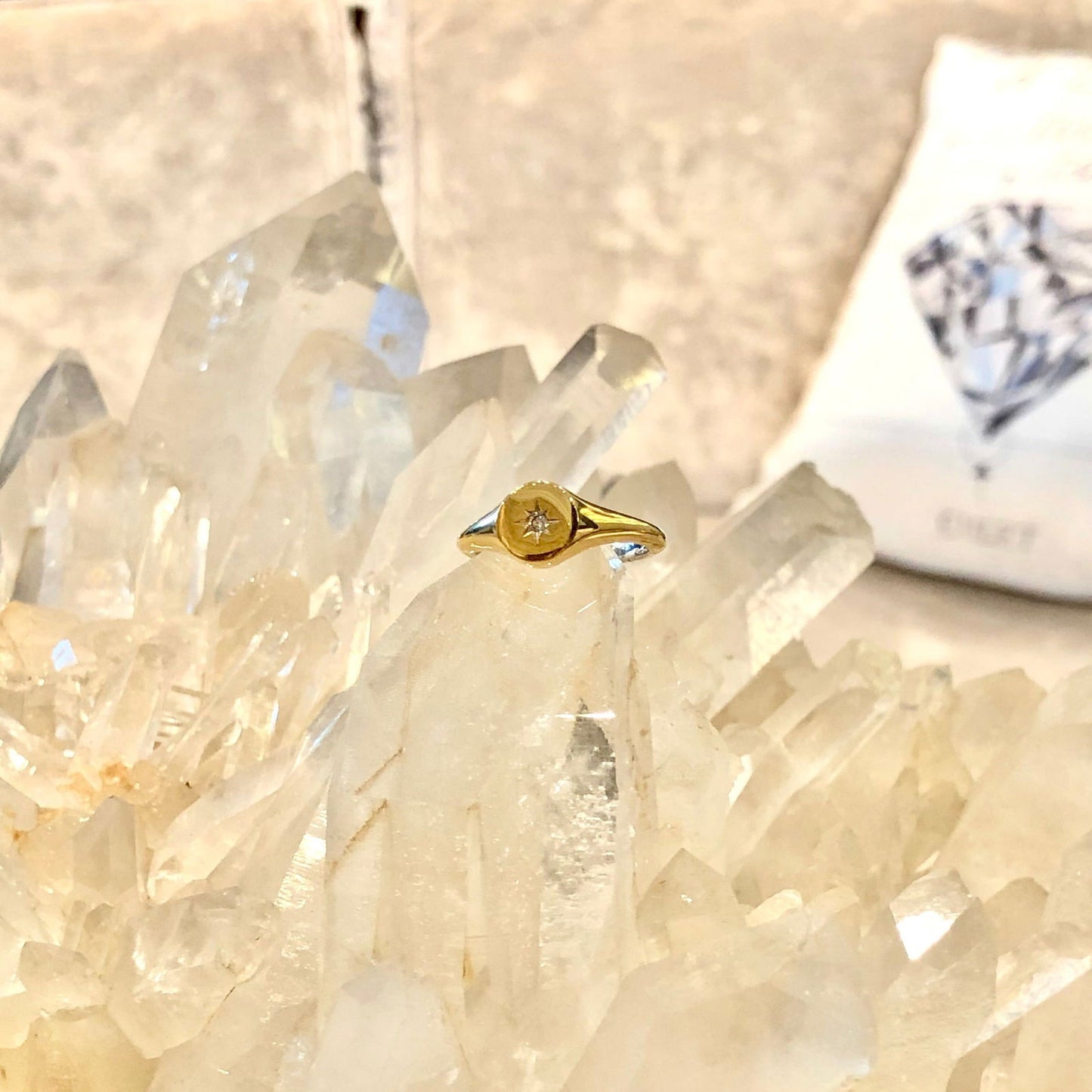 Photo of Nautical Star Signet Ring in a decorative scene, designed by , available at Plumb Gold & Plumb Silver