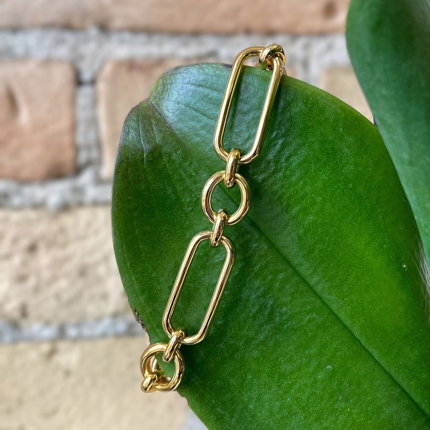 Photo of Open Link Bracelet in a decorative scene, designed by , available at Plumb Gold & Plumb Silver