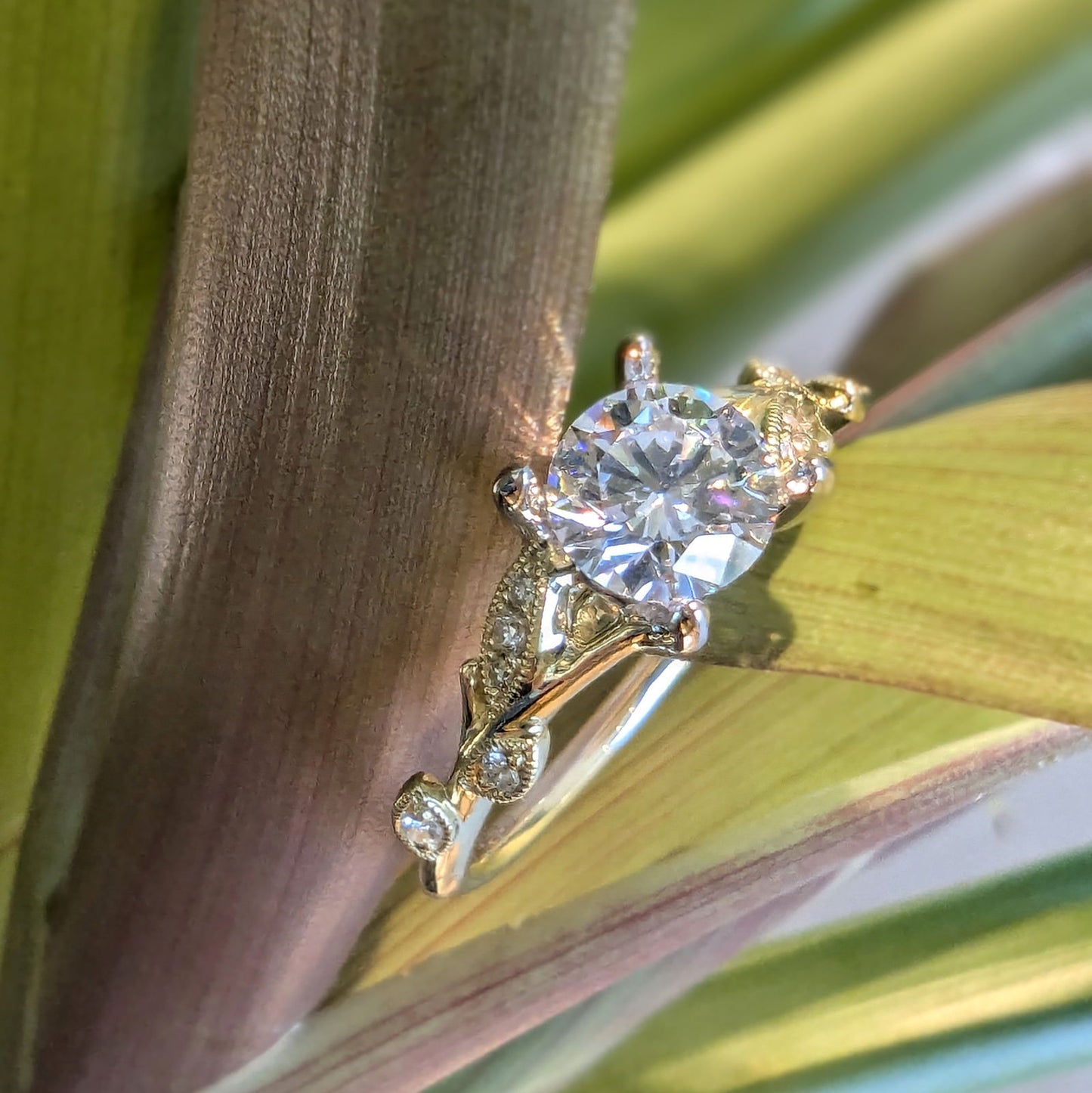 Photo of "Polly" Ring Mounting in a decorative scene, designed by , available at Plumb Gold & Plumb Silver