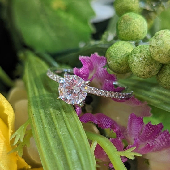 Photo of "Regis" Solitaire Engagement Ring Mounting in a decorative scene, designed by , available at Plumb Gold & Plumb Silver