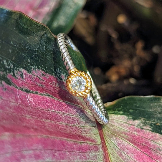 Photo of Rope Ring with Bezel in a decorative scene, designed by , available at Plumb Gold & Plumb Silver