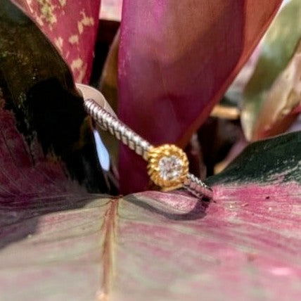 Photo of Rope Ring with Bezel in a decorative scene, designed by , available at Plumb Gold & Plumb Silver