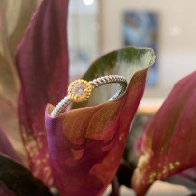 Photo of Rope Ring with Bezel in a decorative scene, designed by , available at Plumb Gold & Plumb Silver