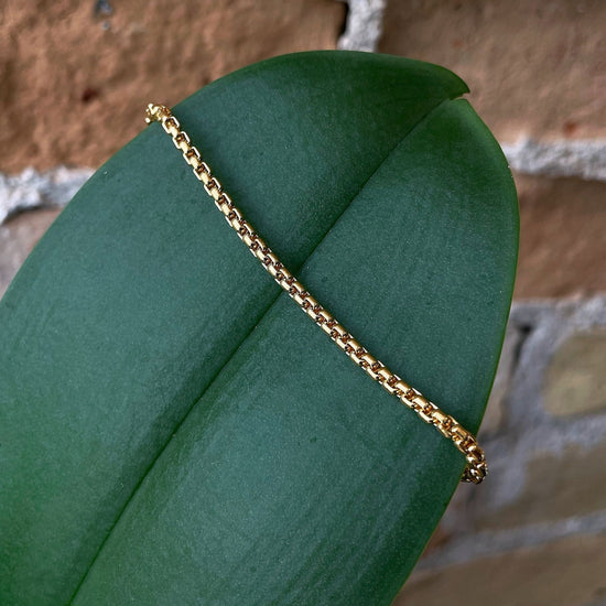 Photo of Rounded Box Chain Bracelet in a decorative scene, designed by , available at Plumb Gold & Plumb Silver