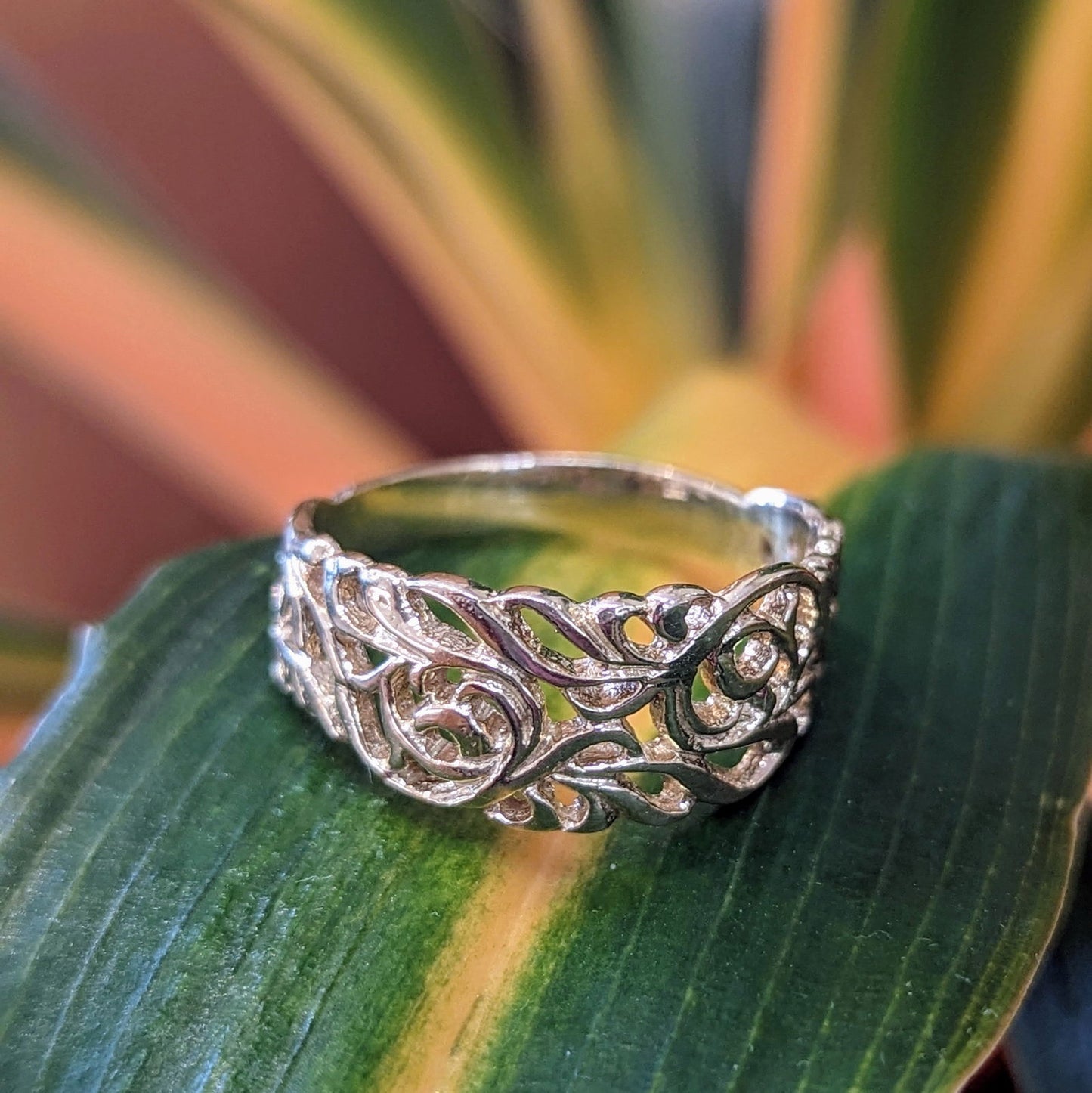 Photo of Scroll Ring in a decorative scene, designed by , available at Plumb Gold & Plumb Silver