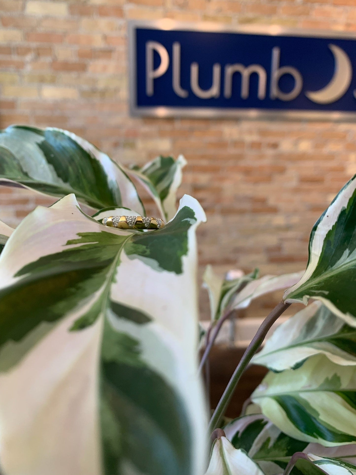 Photo of Starburst Dazzle Chevron Ring in a decorative scene, designed by , available at Plumb Gold & Plumb Silver