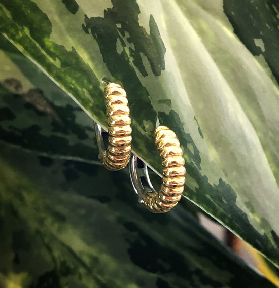 Photo of Sterling Silver Gold Plated Shell Huggies in a decorative scene, designed by , available at Plumb Gold & Plumb Silver