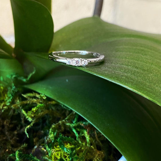 Photo of Three Stone Cubic Zirconia Ring in a decorative scene, designed by , available at Plumb Gold & Plumb Silver