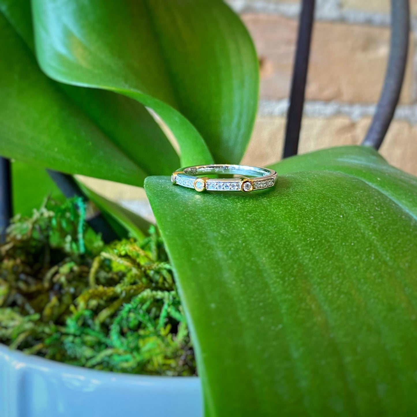 Photo of Trio Bezel Ring in a decorative scene, designed by , available at Plumb Gold & Plumb Silver