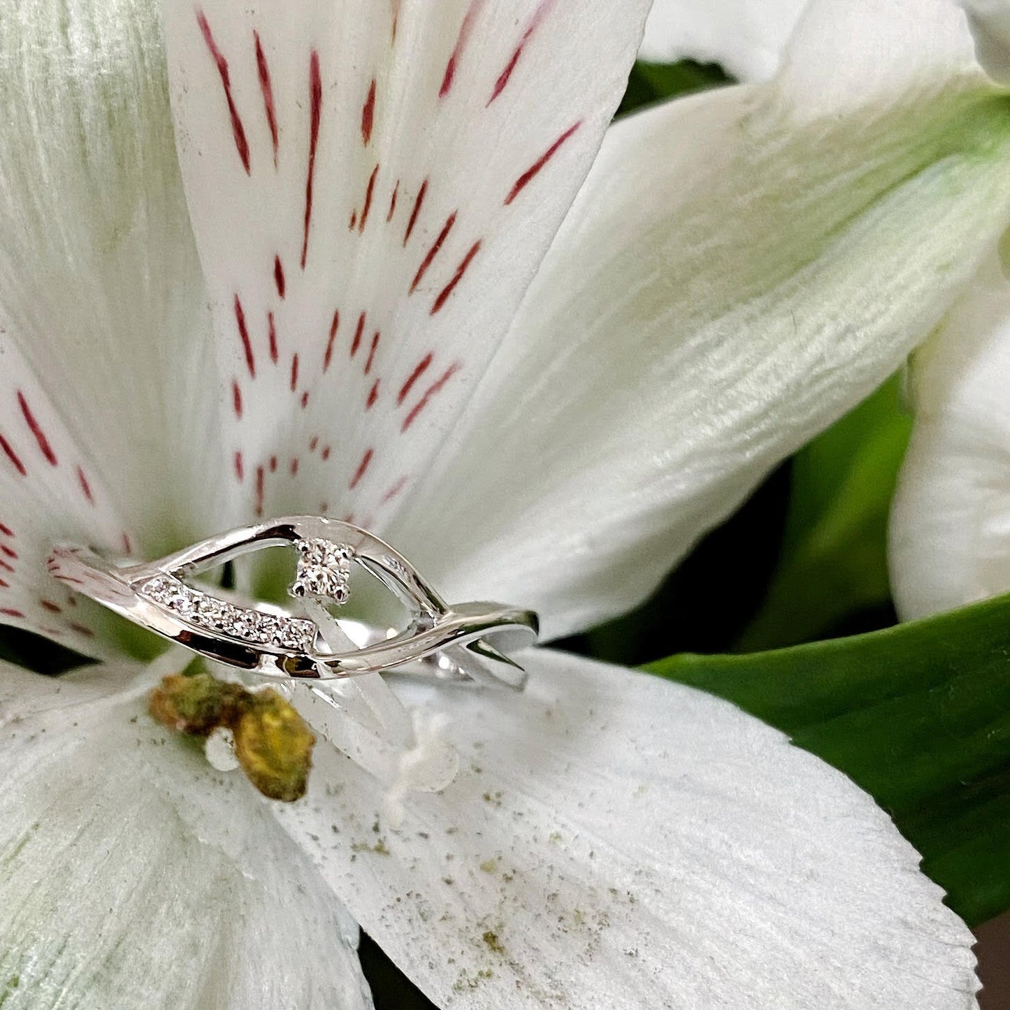 Photo of Twist Ring with Diamond Accents in a decorative scene, designed by , available at Plumb Gold & Plumb Silver