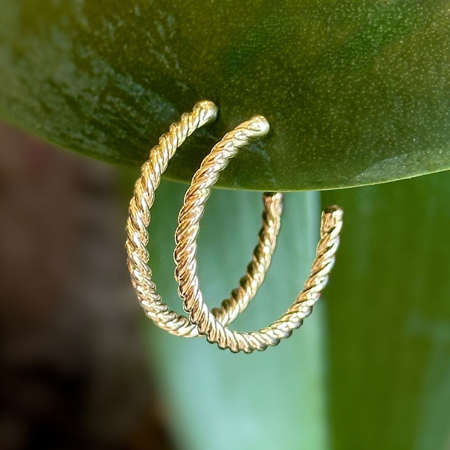 Photo of Twisted Medium Gold Hoops in a decorative scene, designed by , available at Plumb Gold & Plumb Silver