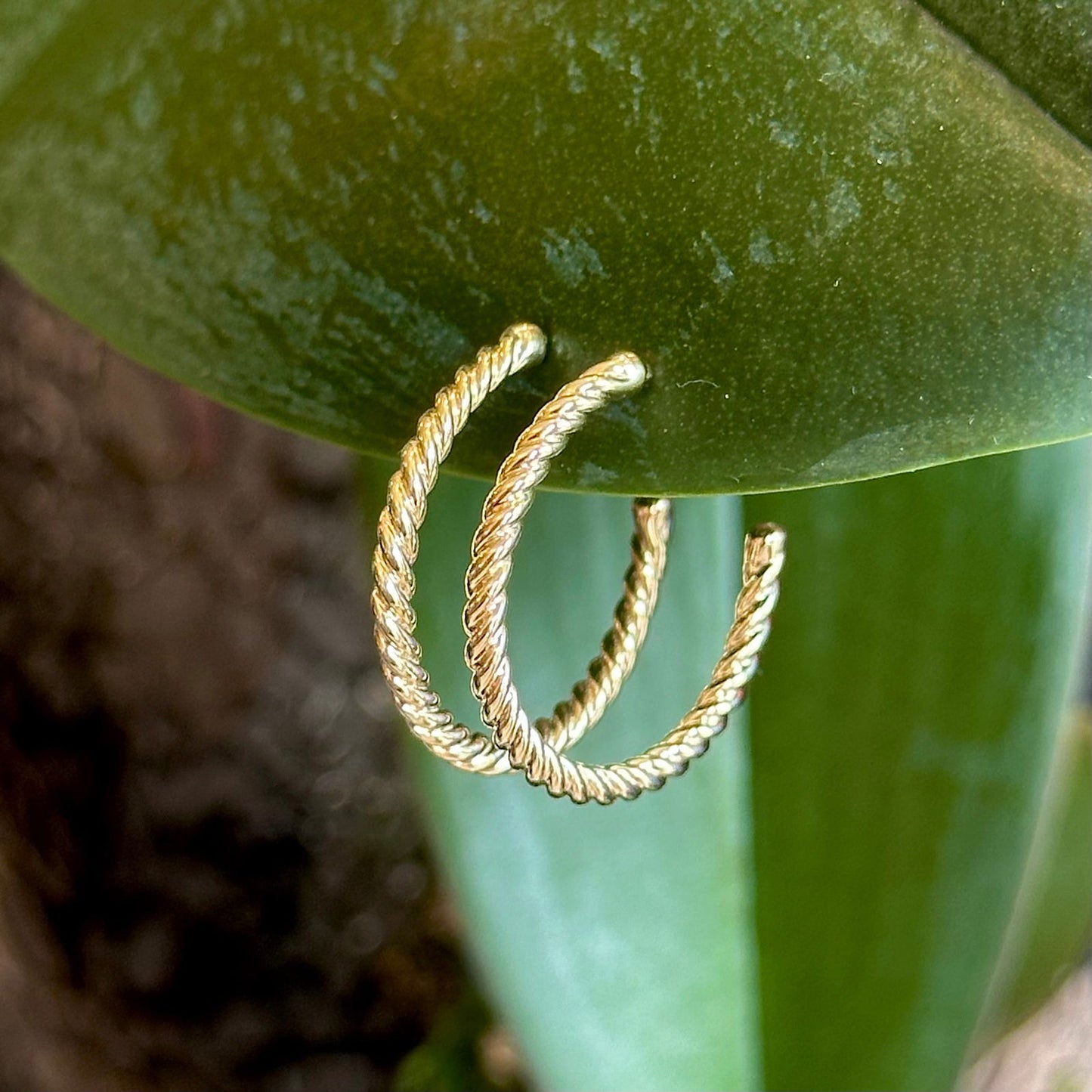 Photo of Twisted Medium Gold Hoops in a decorative scene, designed by , available at Plumb Gold & Plumb Silver