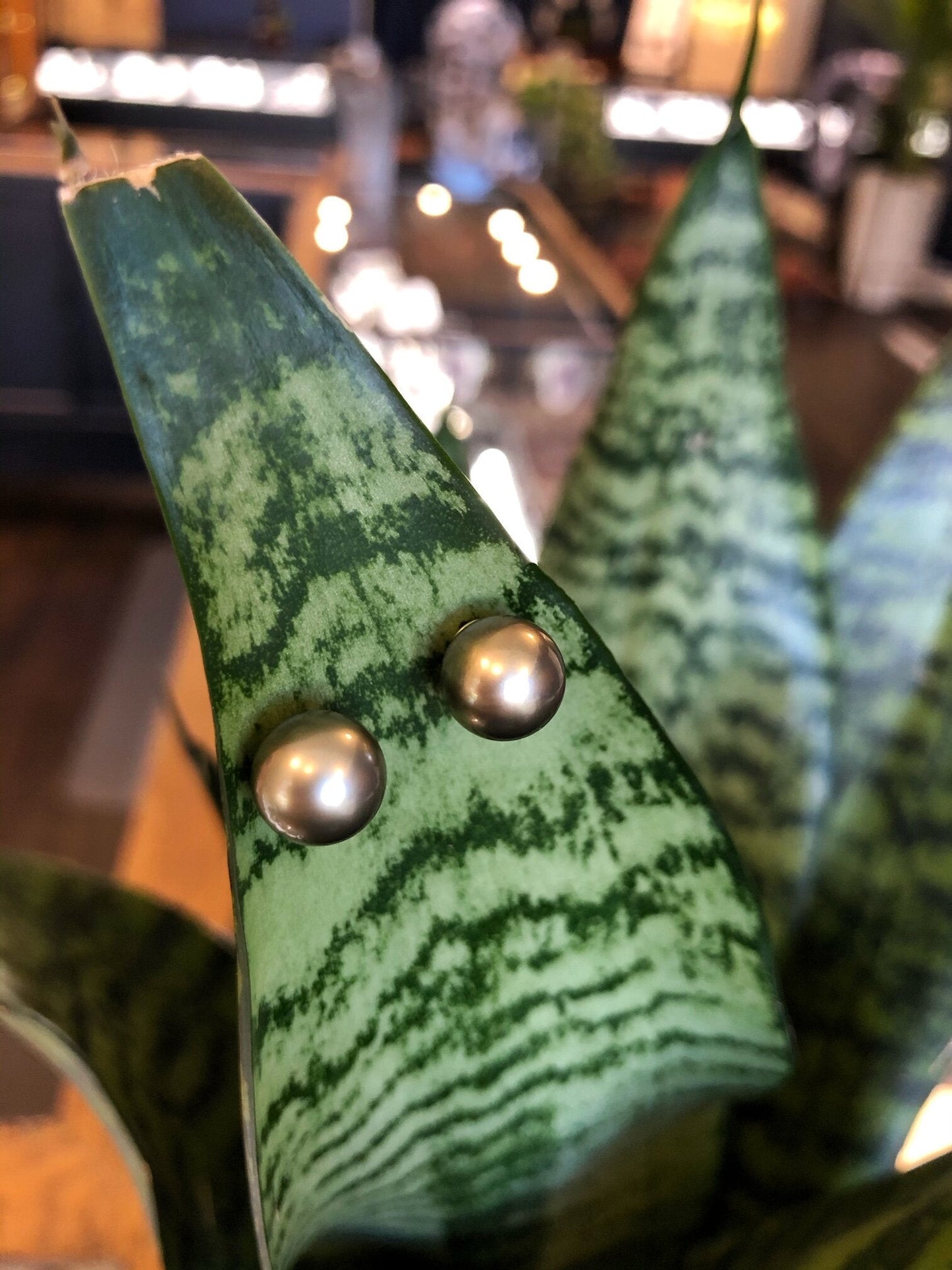 Photo of Zoma Color Olive Tahitian Pearl Studs in a decorative scene, designed by , available at Plumb Gold & Plumb Silver