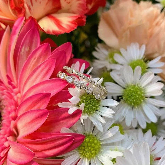 "Alicia" Double Band