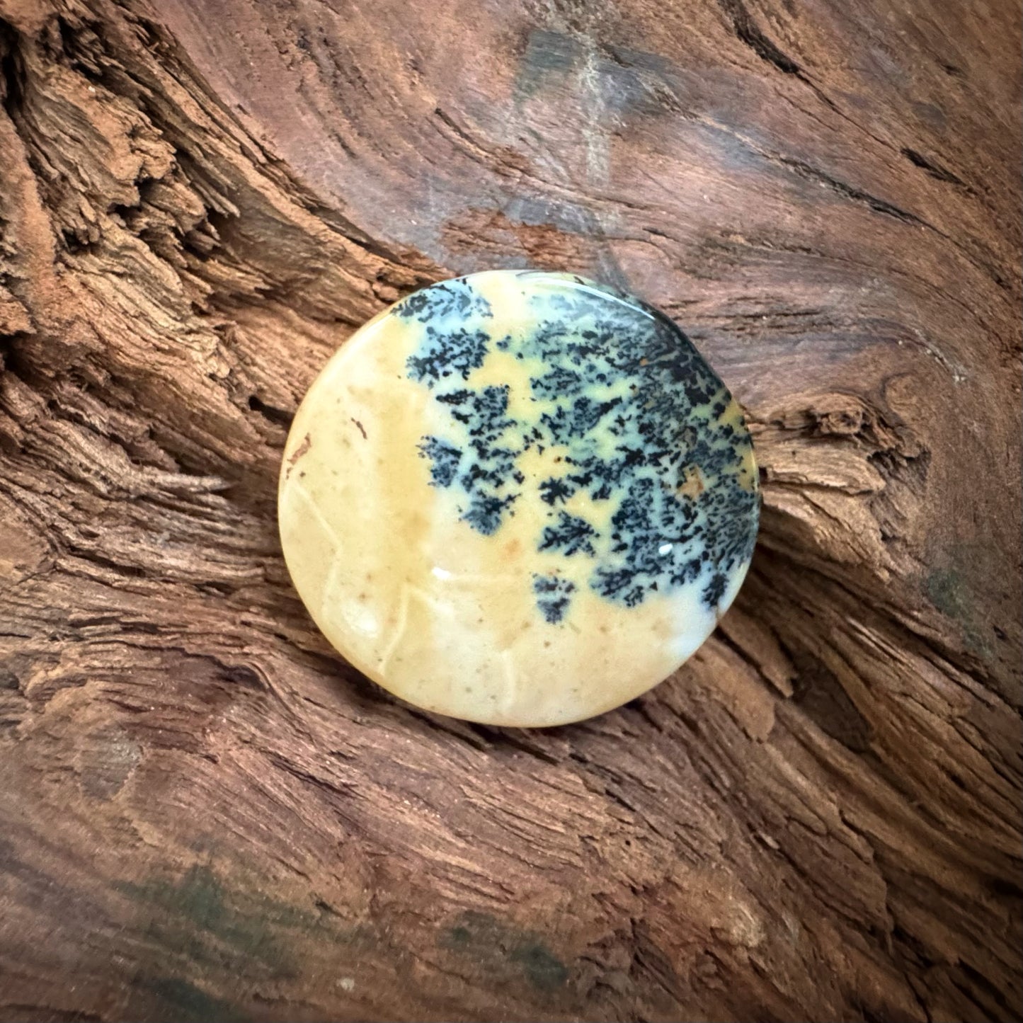 Dendritic Jasper Round